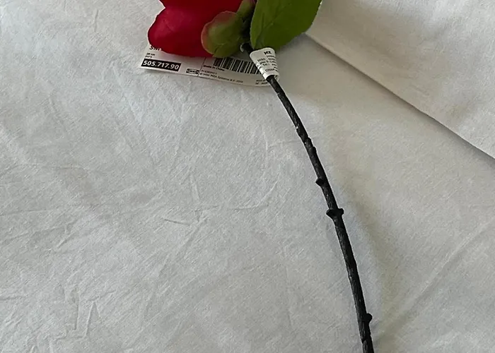 Falaride Discesa Sulla Valle Di Oro 民宿 阿格里真托