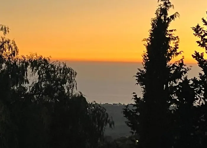 Falaride Discesa Sulla Valle Di Oro *