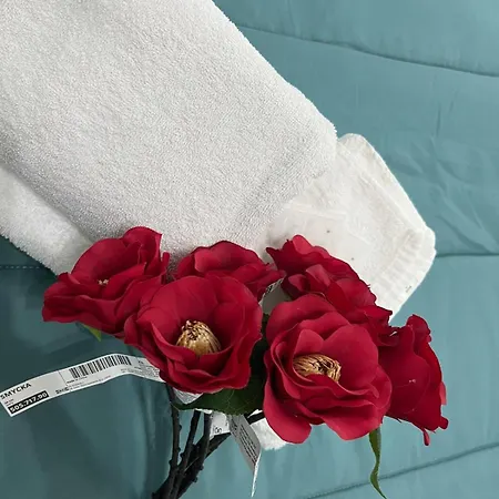 Falaride Discesa Sulla Valle Di Oro Agrigento